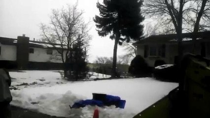 Tree felling Gone wrong.