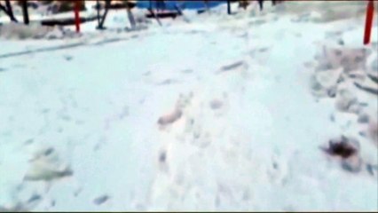 Russie : une ville de Sibérie submergée par une mer de glace