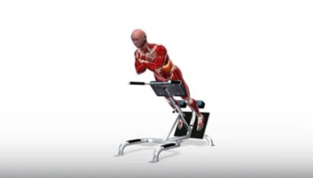 Workout Manager - Back Extension (Back Exercises)