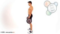 Workout Manager - Stiff-Legged Deadlift (Back Exercises)