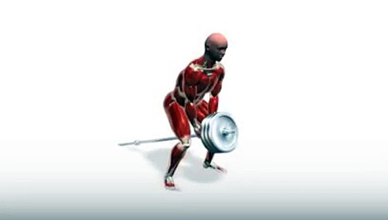 Workout Manager - T-Bar Rows (Back Exercises)