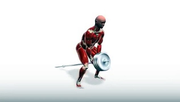 Workout Manager - T-Bar Rows (Back Exercises)