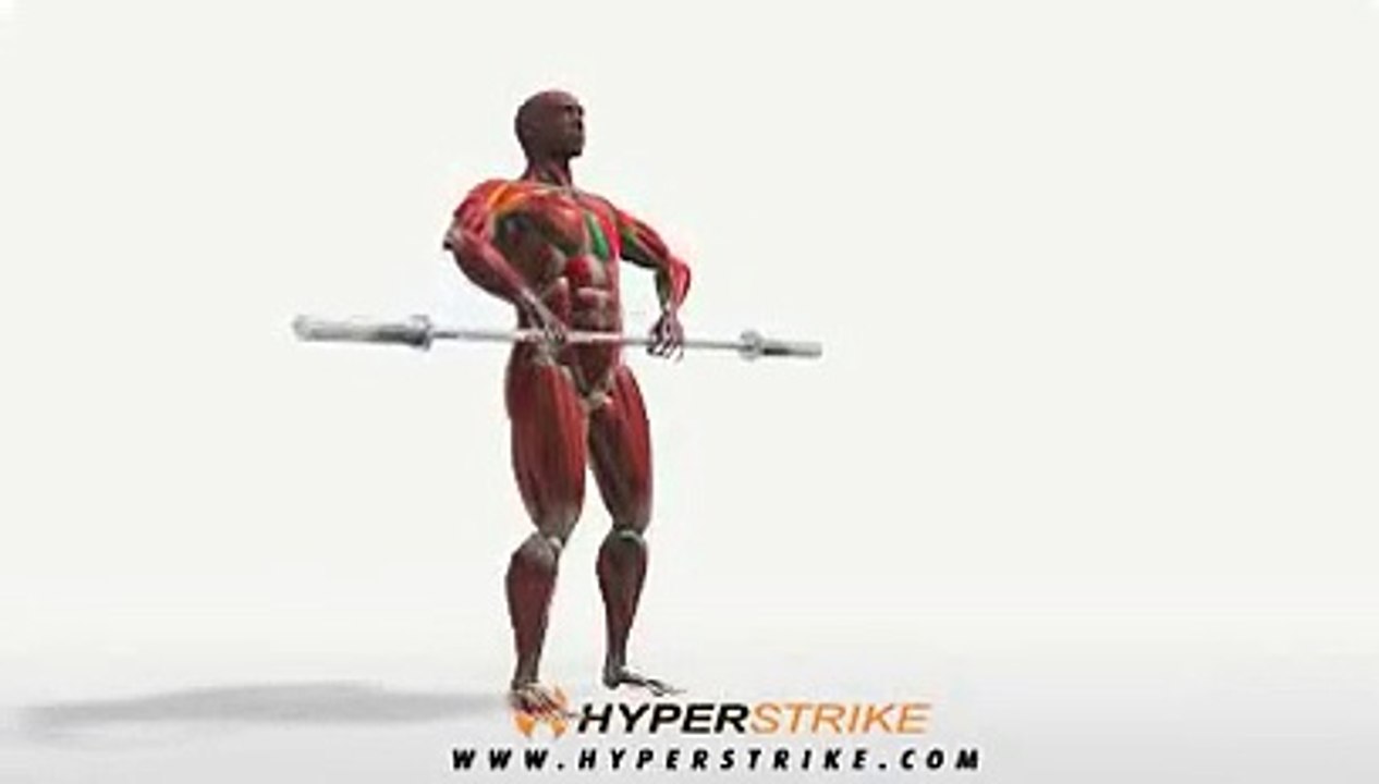 Workout Manager - Upright Rows (Back Exercises)