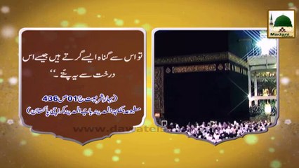 Video herunterladen: Madani Phool - Namaz Ke Ahkam 28 - Namaz Ki Fazeelat