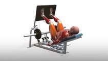 Workout Manager - 45-Degree Leg Press (Leg Exercises)