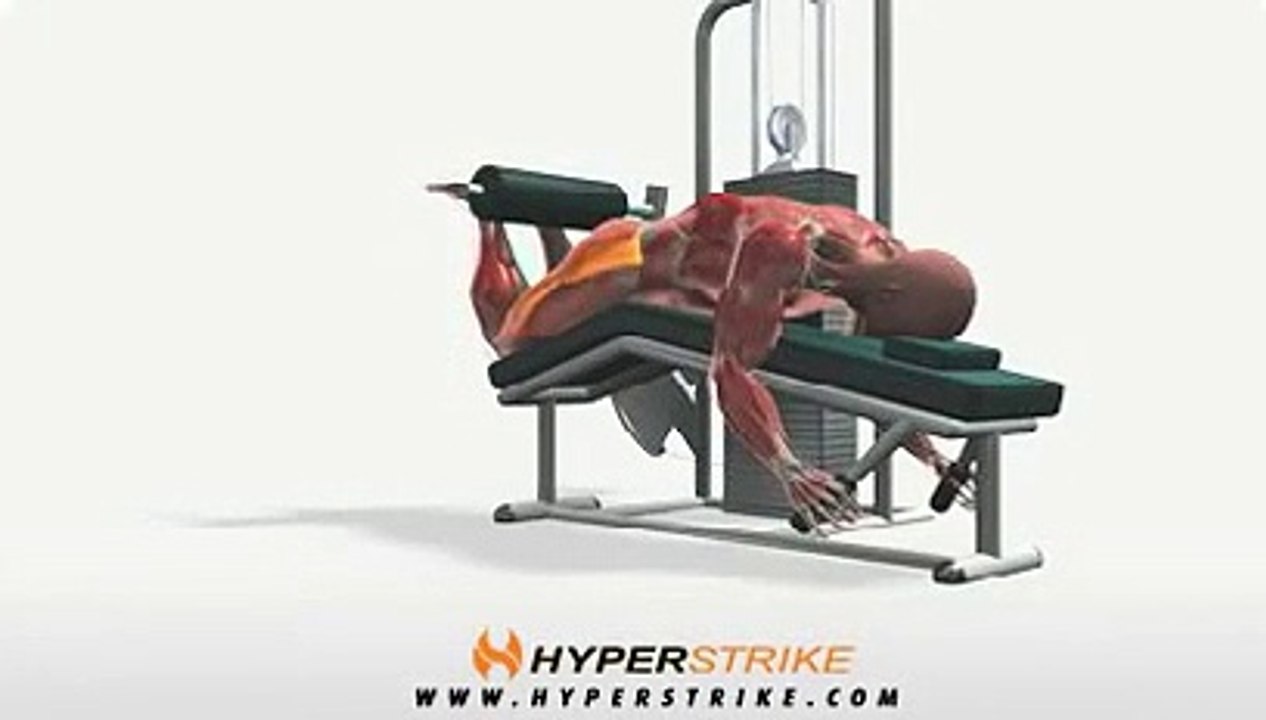 Workout Manager - Leg Curl - Lying Machine (Leg Exercises)