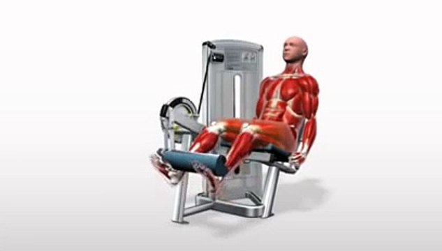 Workout Manager - Leg Extension (Leg Exercises)