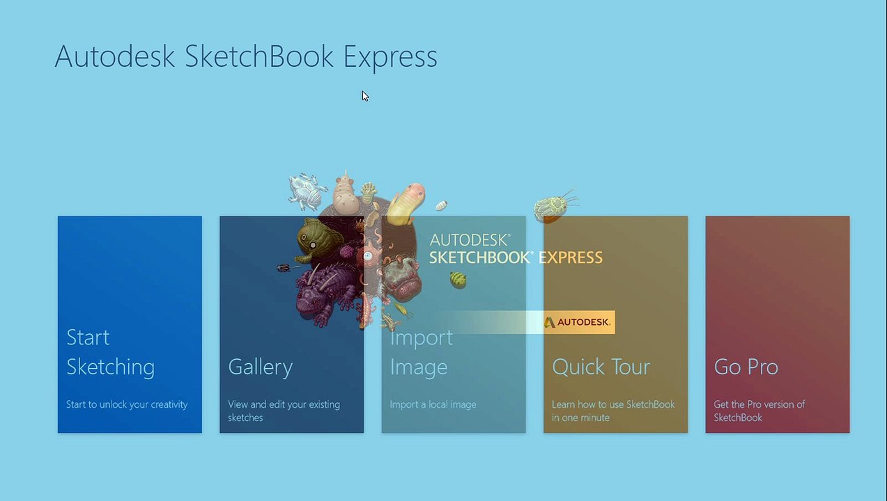 Seed and Types of Germination of Seeds