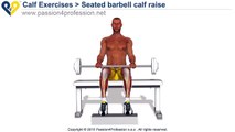 Workout Manager - Seated Barbell Calf Raise (Leg Exercises)