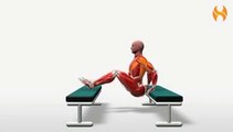 Workout Manager - Bench Dip - Feet Elevated (Triceps Exercises)