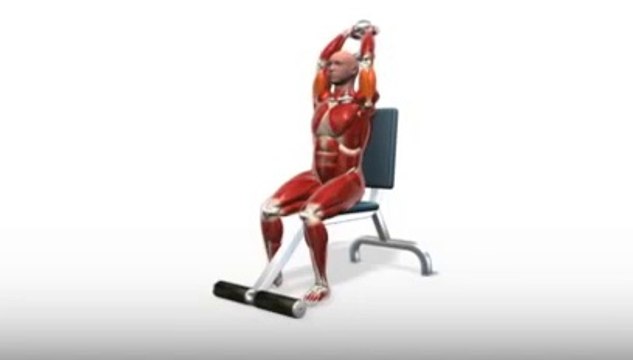 Workout Manager - Dumbbell Overhead Triceps Extension (Triceps Exercises)