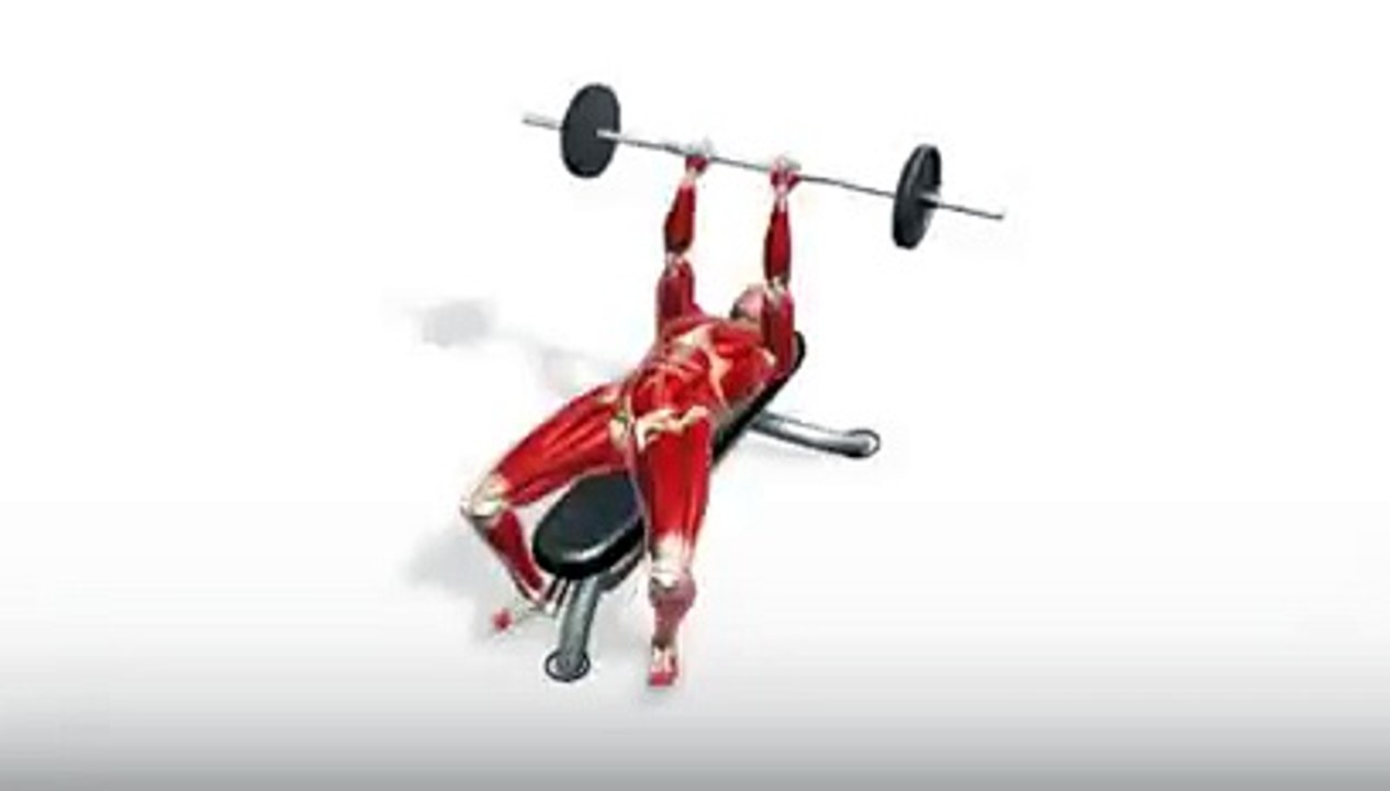 Workout Manager - Ez Curl Bar Skull Crushers (Triceps Exercises)