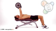Workout Manager - French press lying on bench with Z bar (Triceps Exercises)