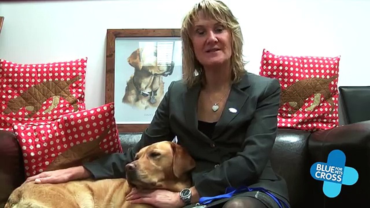 Daisy, la chienne qui détecte les cancers