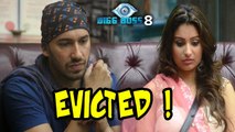Bigg Boss 8: Ali Mirza And Dimpy Ganguly Are Evicted | Top 3 Revealed !!