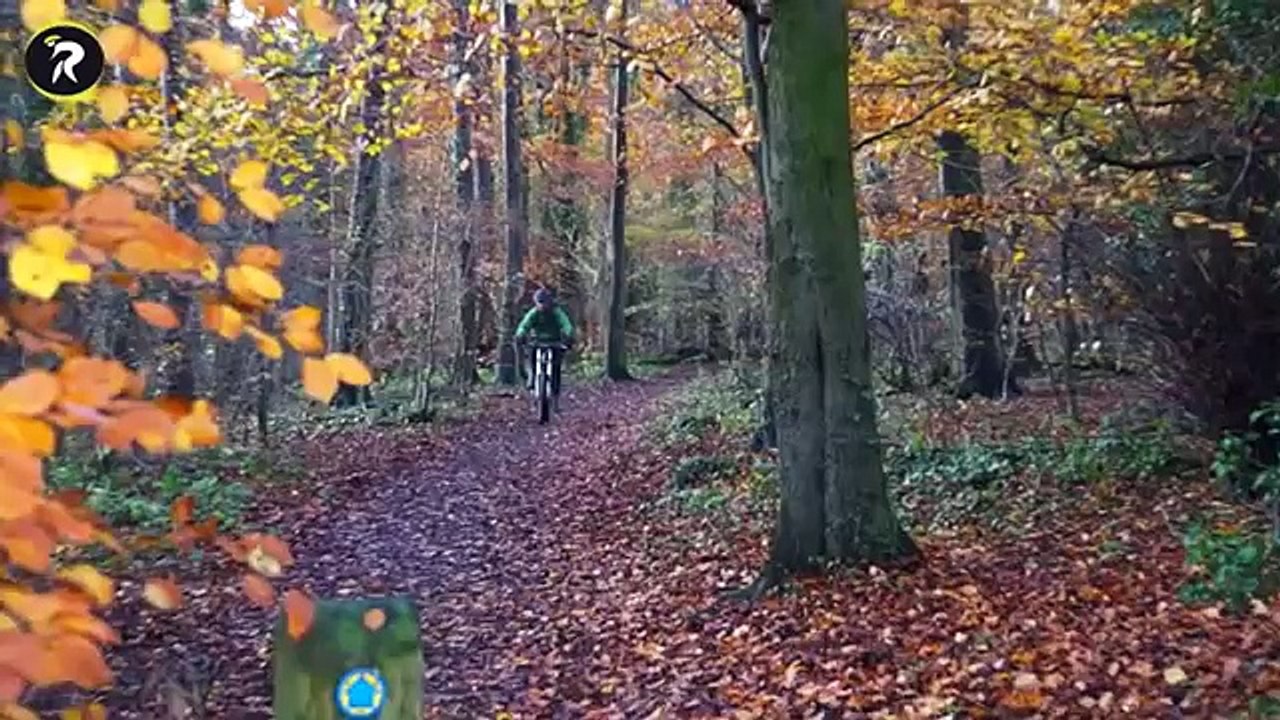 [ Ridersmate ] Your Electronic Guardian Angel