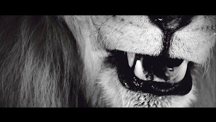 Прокат Авто Баку AvtoRent.az +994502167762