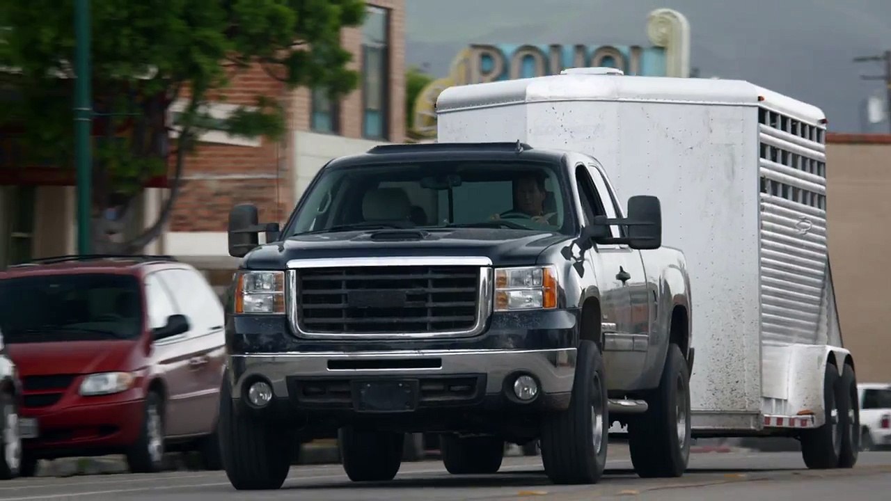 Un petit chiot trop mignon pour Budweiser