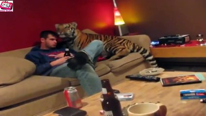 Top Wins & Fails Compilation February 2014