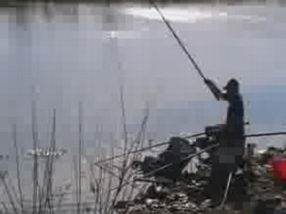 pêche : Saint gilles  en mars