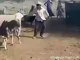 HaHaHa Goat Attack Man
