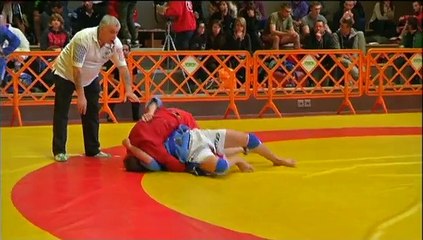 JT DES VOIRONNAIS - 29 Janvier 2015