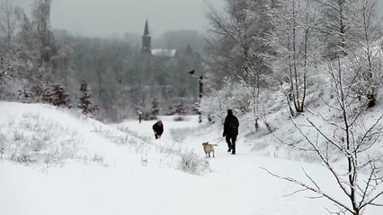 Episode neigeux dans le Douaisis