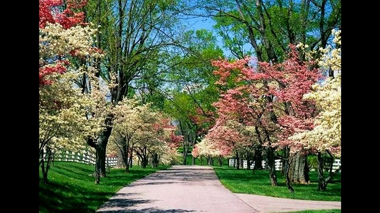 Wonderful Natural Photos