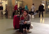 Overjoyed Dog Greets Owner at Oslo Airport