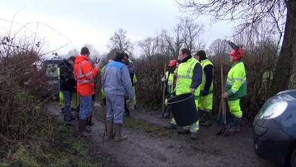 plantation-maroilles