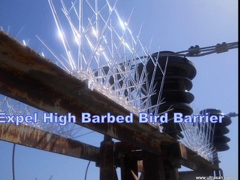 Bird Problems- Expel Bird Barrier