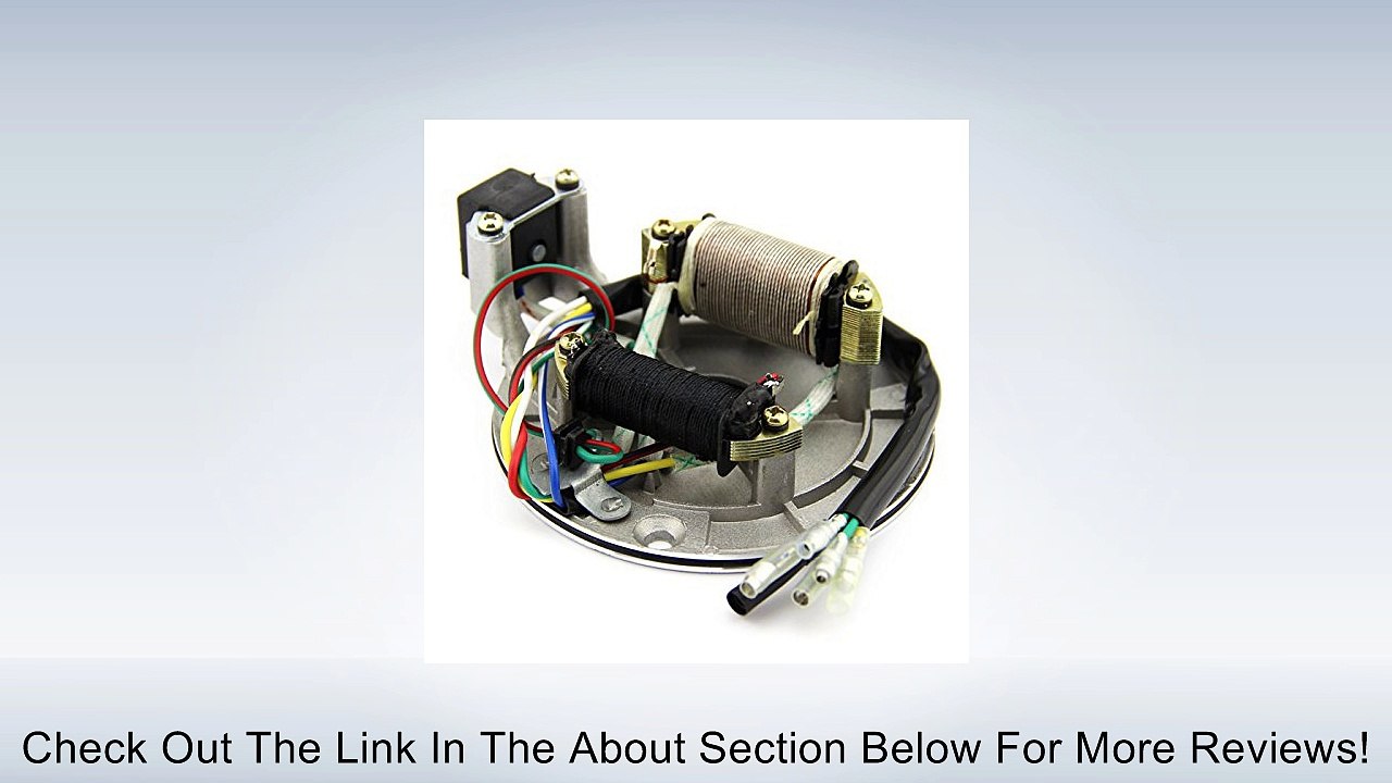 nihao� Pit Dirt Bike Stator Plate Pickup Magneto Coil Rotor Pitbike 110cc 125cc (2) Review