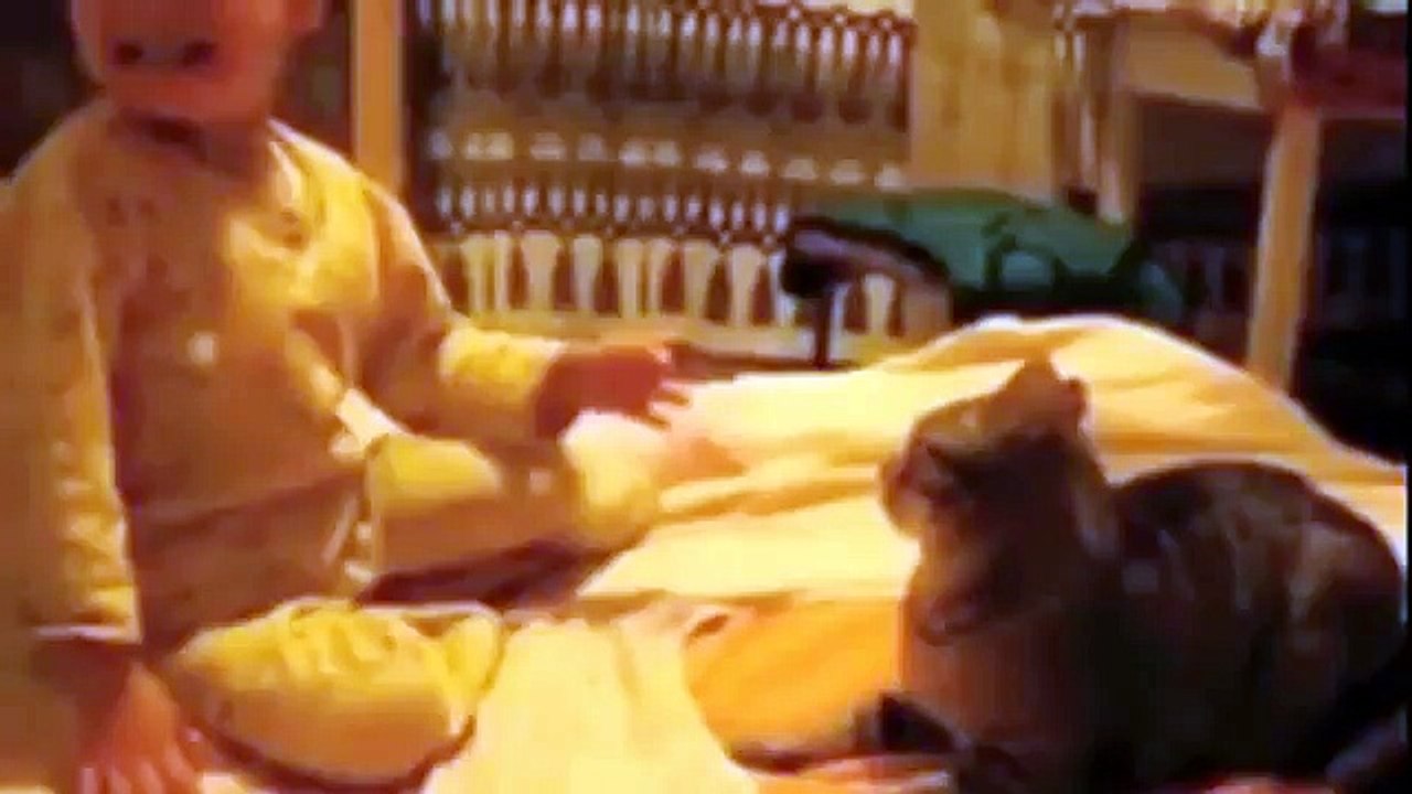 animals compilation 2015 New -
