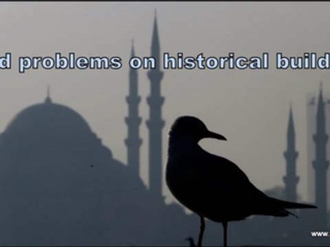 Bird Problems on Historical Buildings
