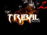 Tribal Zone Vol.2