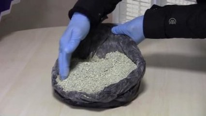 Bursa'da Bonzai Ham Maddesi Ele Geçirildi