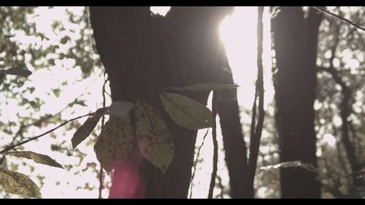 Foxing   Rory  (Official Music Video)