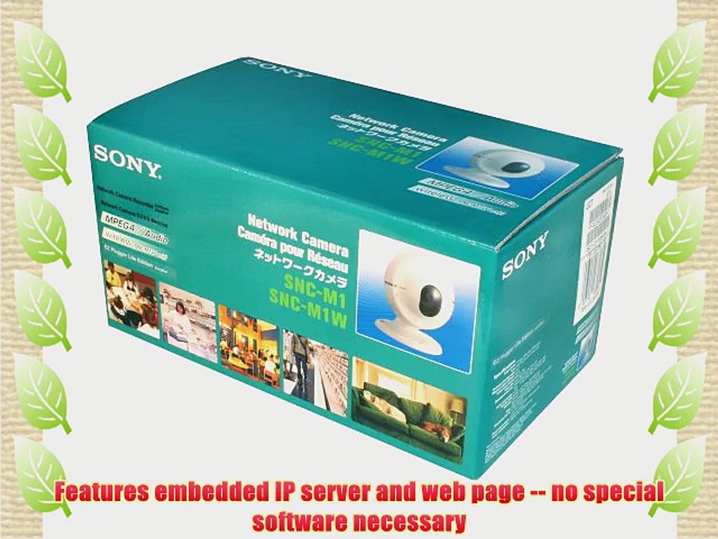 Sony Snc M1 Fixed Ip Network Camera W Audio Video Dailymotion