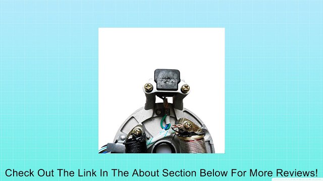 2 Coils Magneto Stator Plate for 50cc 70cc 90cc 110cc 125cc Kick Start Dirt Pit Bike ATV Go Kart Quad - Unpainted Review