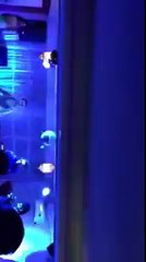 Kareena Kapoor and Saif Ali Khan Dance in Home function