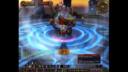 Wow up druide (REPLAY)