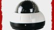 Indoor Outdoor 1/3 SONY CCD 700 TV lines Dome Security Camera with 24 IR LEDs 82 feet IR Distance