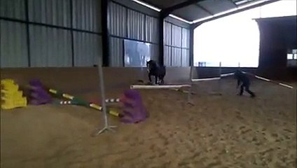 PONEY Connemara
