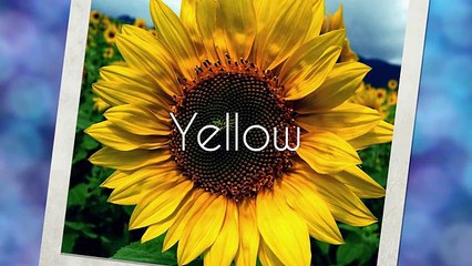 10 Taylor Swift Facts That Will Give You Life