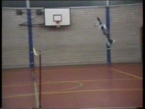 Modelisme Rc Avion Voltige Indoor