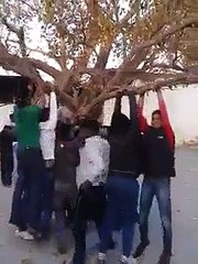 Must watch ha ha ha ha