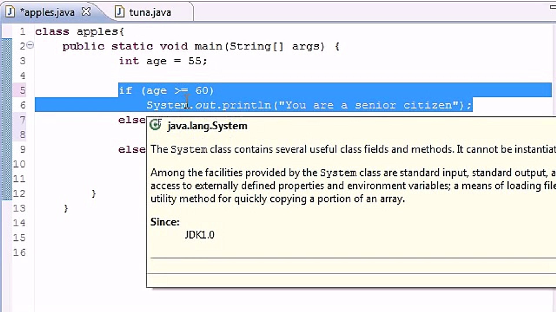 Java Programming Tutorial - 19 - else if Statement