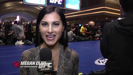 UFC 183: Open Workout Highlights