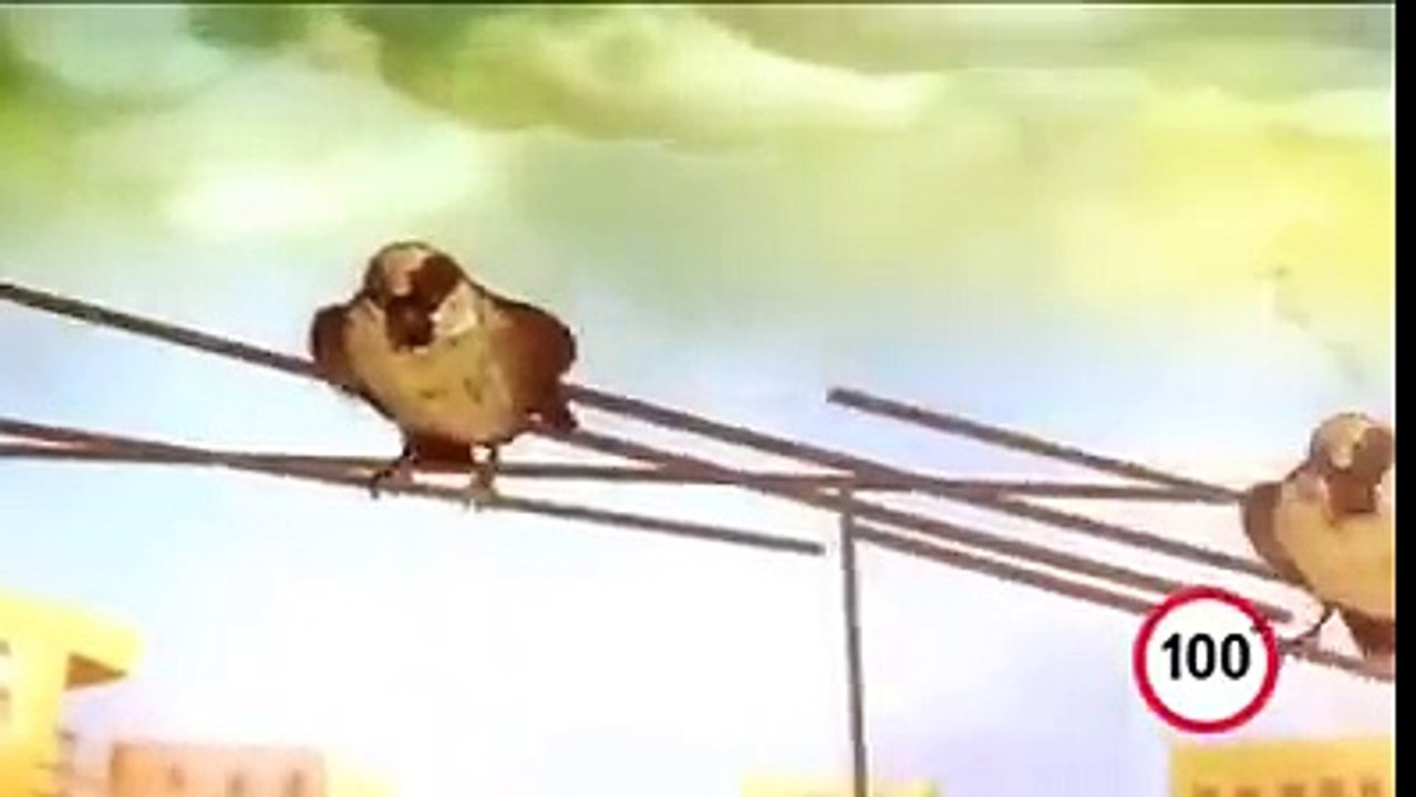 World's Best 100 sec video