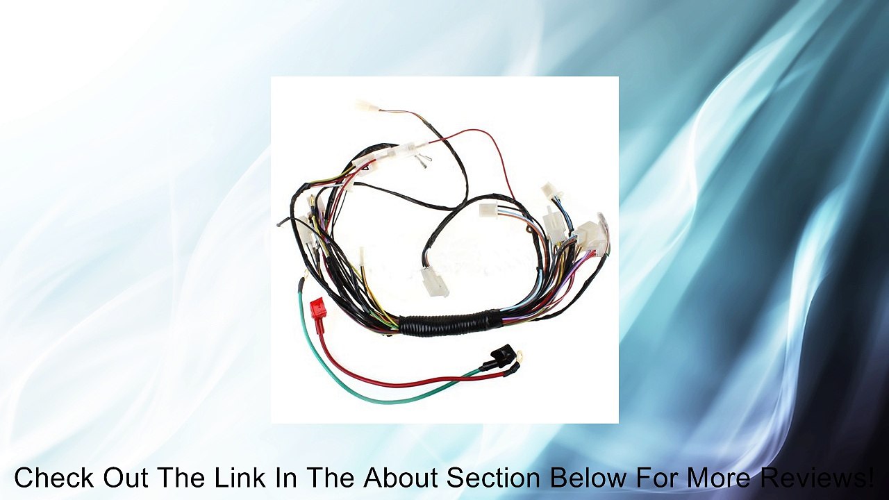 Promax Main Wire Harness for 110 cc 125cc ATVs Quad 4 Wheeler Review